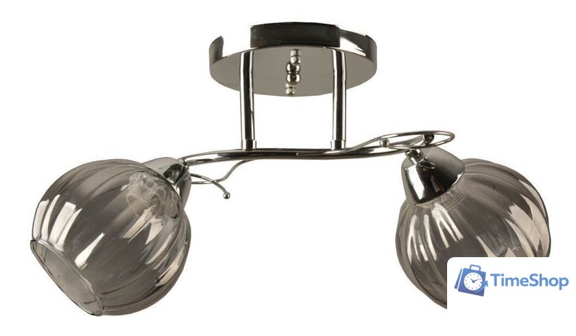 Припотолочная люстра Hiper Monza H196-2 - Изображение №1 — Интернет-магазин Time-Shop