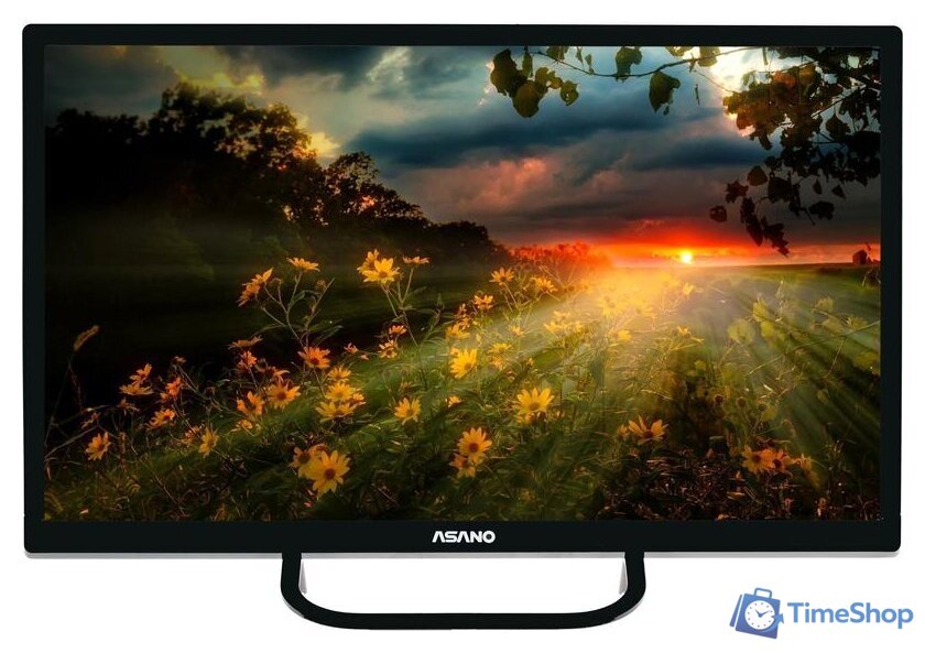 Телевизор ASANO 32LH1110T - Изображение №1 — Интернет-магазин Time-Shop