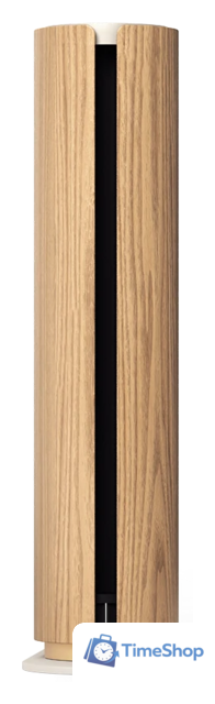 Беспроводная аудиосистема Bang & Olufsen Beosound Emerge (золотистый/светлый дуб) - Изображение №2 — Интернет-магазин Time-Shop
