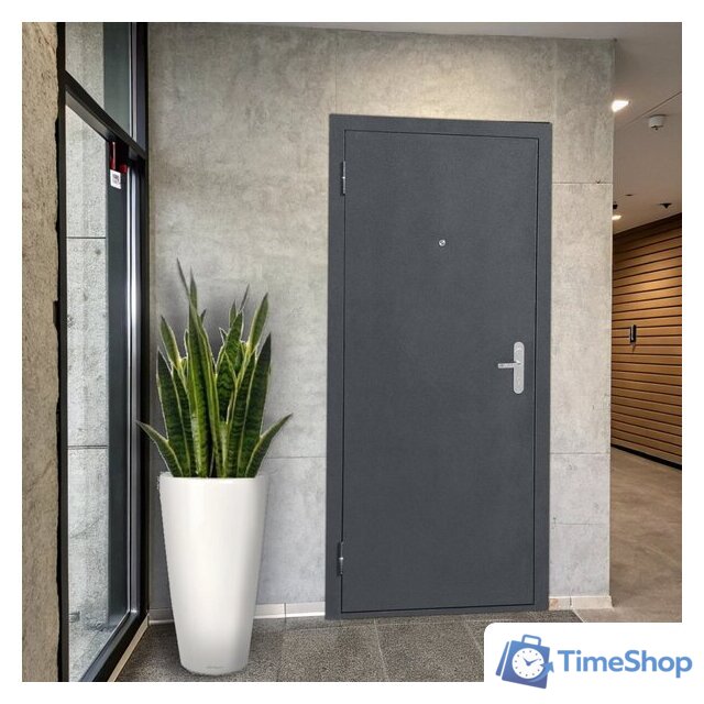 Металлическая дверь Guard Металл/металл Антик серебро (86x205, левая) - Изображение №5 — Интернет-магазин Time-Shop