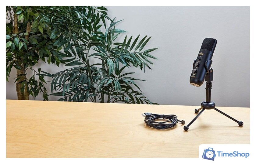 Проводной микрофон Marantz MPM-4000U - Изображение №9 — Интернет-магазин Time-Shop