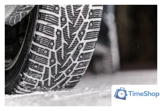 Зимние шины Nokian Tyres Nordman 7 195/55R15 89T (шипы) - Изображение №3 — Интернет-магазин Time-Shop