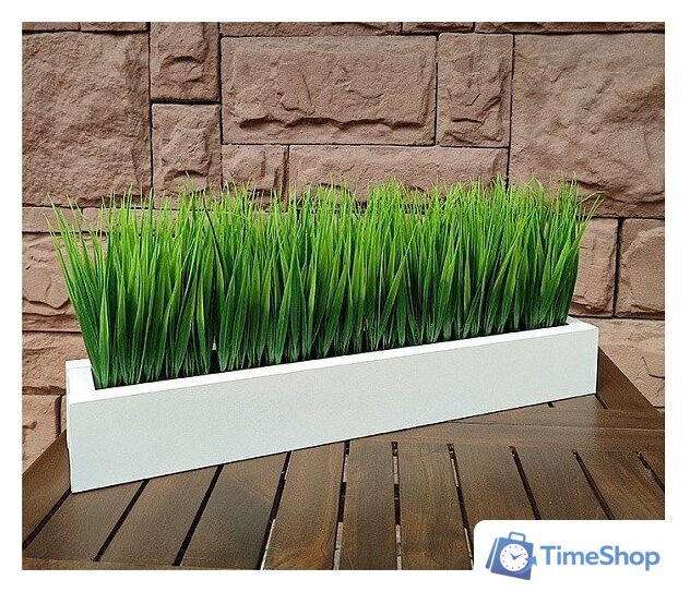 Искусственное растение Forgarden FGK28 BN10739 - Изображение №5 — Интернет-магазин Time-Shop