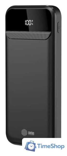 Внешний аккумулятор CACTUS CS-PBFSCA-10000 10000mAh (черный) - Изображение №1 — Интернет-магазин Time-Shop