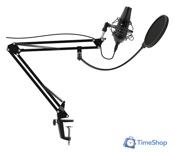 Проводной микрофон Ritmix RDM-180 - Изображение №2 — Интернет-магазин Time-Shop