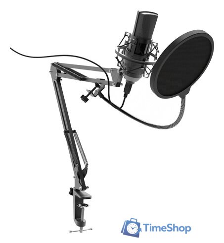 Проводной микрофон Ritmix RDM-180 - Изображение №1 — Интернет-магазин Time-Shop