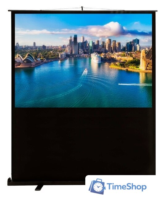 Проекционный экран CACTUS FloorCompactExpert 120x160 CS-PSFLCE-160х120 - Изображение №1 — Интернет-магазин Time-Shop