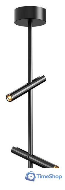 Припотолочная люстра ST Luce SL6210.403.02 - Изображение №1 — Интернет-магазин Time-Shop