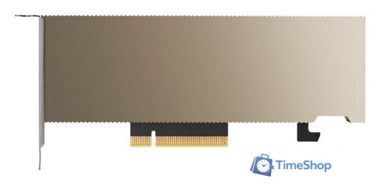 Видеокарта NVIDIA Tesla A2 16GB GDDR6 900-2G179-2720-101 - Изображение №3 — Интернет-магазин Time-Shop