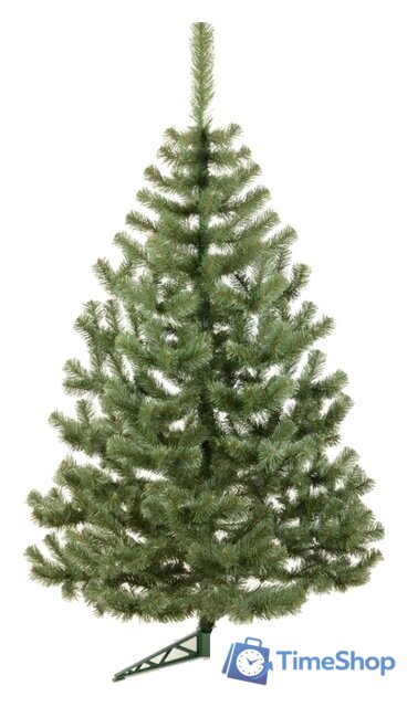 Пихта Erbis Jodla 1.8 м - Изображение №1 — Интернет-магазин Time-Shop