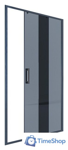 Душевая дверь Alex Baitler AB64B110 - Изображение №1 — Интернет-магазин Time-Shop