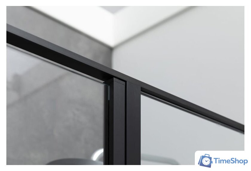 Душевая дверь Allen Brau Priority 3.31039.BBA 294068 (черный браш) - Изображение №5 — Интернет-магазин Time-Shop