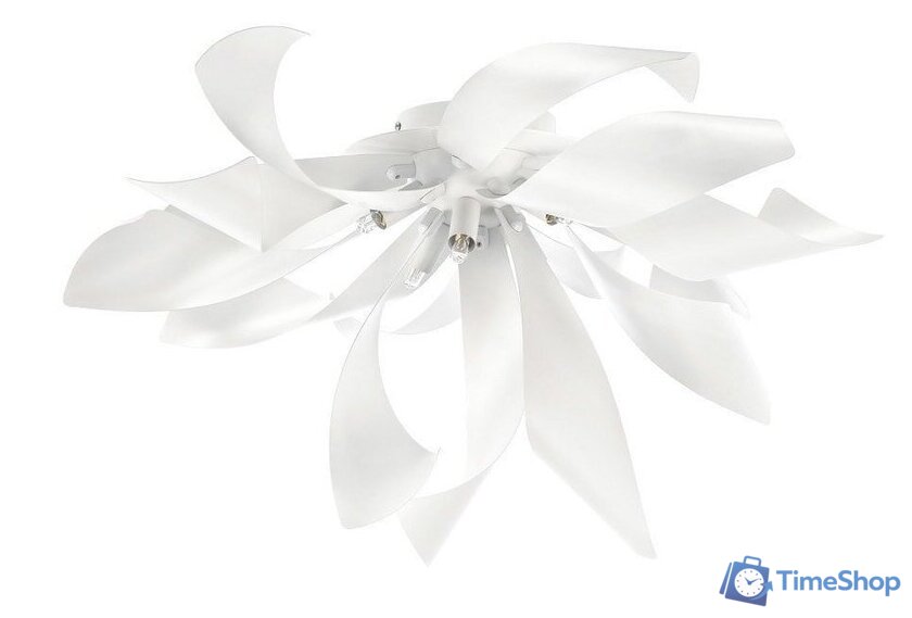 Припотолочная люстра Lightstar Turbio 754166 - Изображение №1 — Интернет-магазин Time-Shop