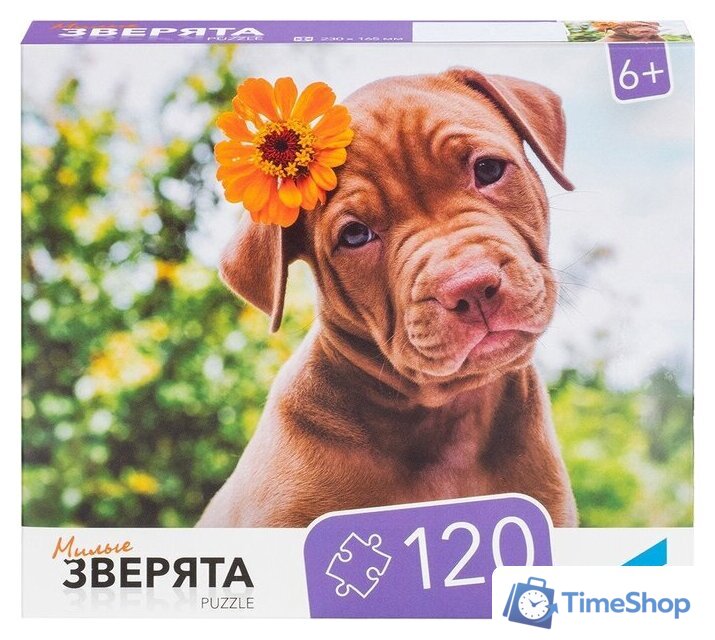 Пазл Dream Makers Зверята RI1203C - Изображение №2 — Интернет-магазин Time-Shop