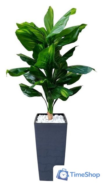 Искусственное растение Forgarden Диффенбахия BN11131 - Изображение №1 — Интернет-магазин Time-Shop