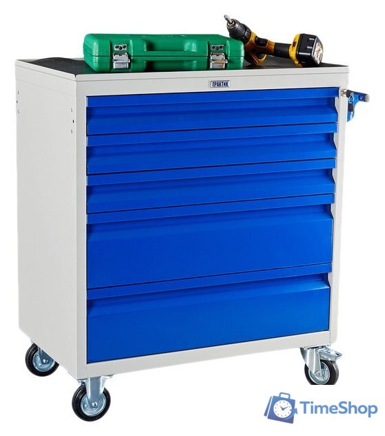 Тележка Практик WDS-5 - Изображение №1 — Интернет-магазин Time-Shop