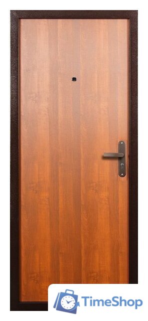 Металлическая дверь Промет Спец Про 206x96 (правый) - Изображение №2 — Интернет-магазин Time-Shop