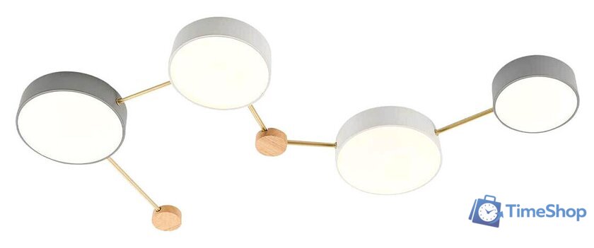 Припотолочная люстра Evoluce Dossena SLE600102-04 - Изображение №2 — Интернет-магазин Time-Shop