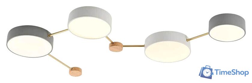 Припотолочная люстра Evoluce Dossena SLE600102-04 - Изображение №1 — Интернет-магазин Time-Shop