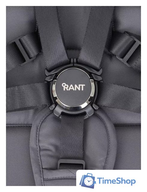 Универсальная коляска Rant Flex Pro 2023 RA075 (3 в 1, graphite) - Изображение №15 — Интернет-магазин Time-Shop