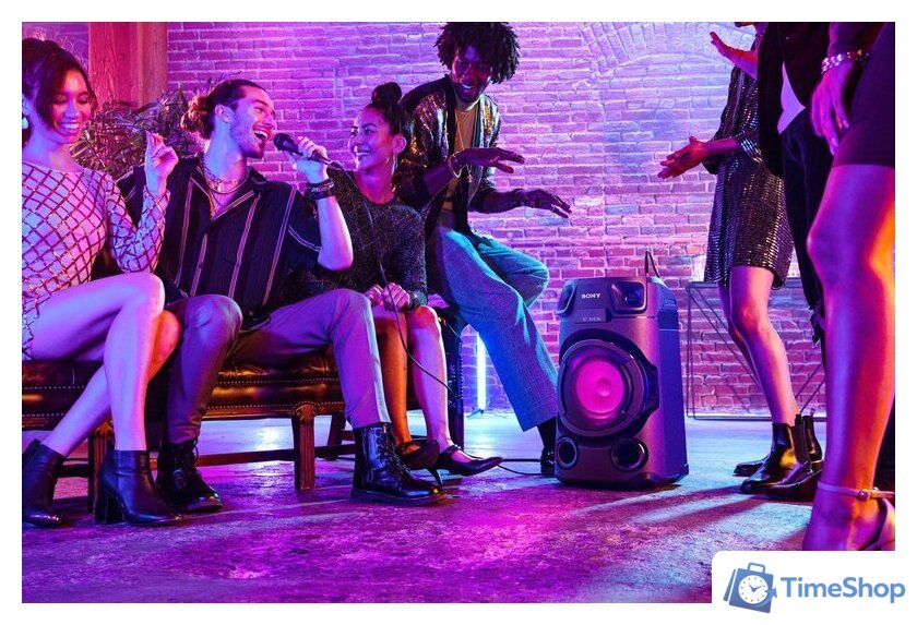 Патибокс Sony MHC-V13 - Изображение №7 — Интернет-магазин Time-Shop