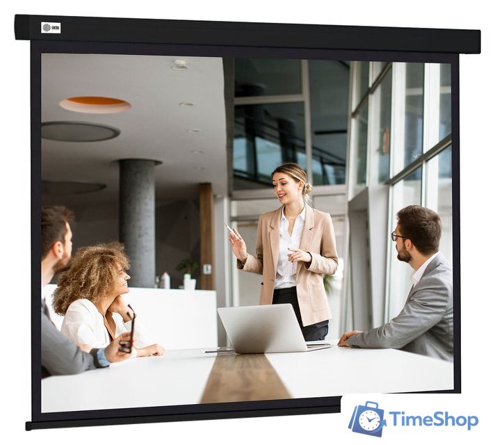 Проекционный экран CACTUS Wallscreen 168x299 CS-PSW-168X299-BK - Изображение №1 — Интернет-магазин Time-Shop