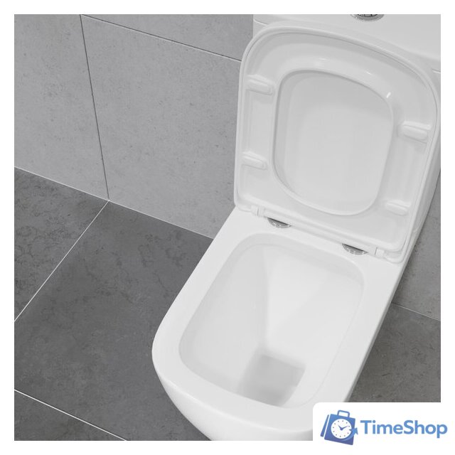 Унитаз напольный Lauter Vortex 2110012VF + гигиенический душ Tera 21GN9011CH - Изображение №23 — Интернет-магазин Time-Shop