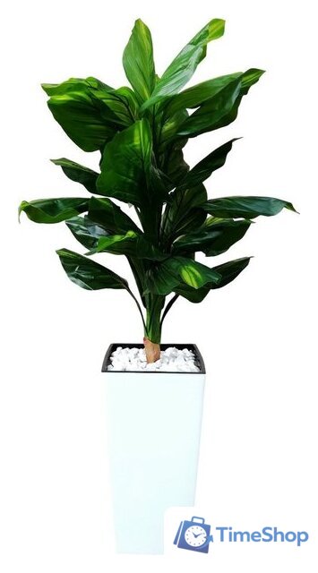 Искусственное растение Forgarden Диффенбахия BN11130 - Изображение №1 — Интернет-магазин Time-Shop