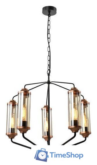 Подвесная люстра Lussole Fishers LSP-8800 - Изображение №1 — Интернет-магазин Time-Shop