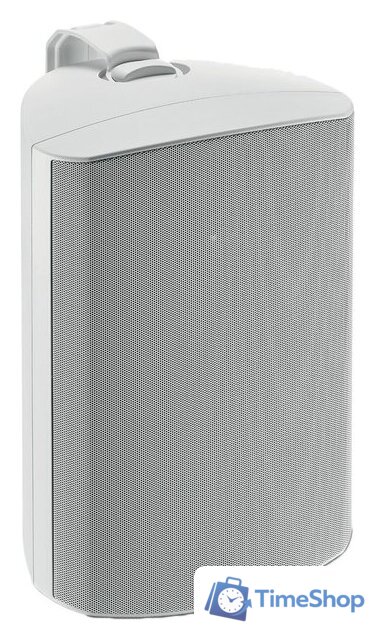 Настенная акустика Focal 100 OD8 (белый) - Изображение №1 — Интернет-магазин Time-Shop