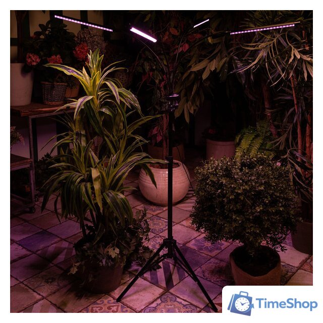 Лампа для растений Uniel ULT-P32-36W/SPLE/TM/40 IP40 BLACK QUAD UL-00008905 - Изображение №8 — Интернет-магазин Time-Shop