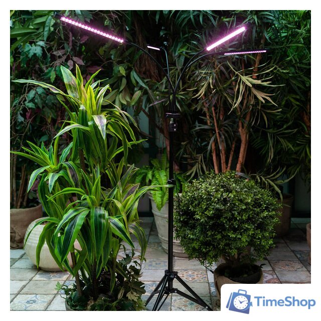 Лампа для растений Uniel ULT-P32-36W/SPLE/TM/40 IP40 BLACK QUAD UL-00008905 - Изображение №6 — Интернет-магазин Time-Shop