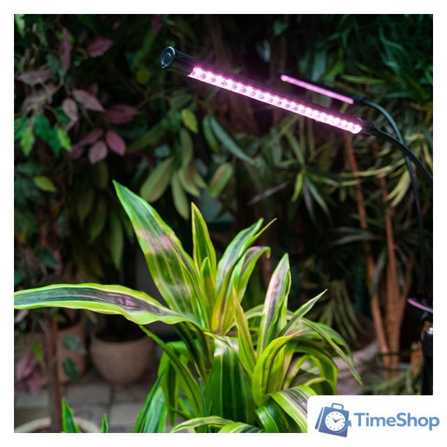 Лампа для растений Uniel ULT-P32-36W/SPLE/TM/40 IP40 BLACK QUAD UL-00008905 - Изображение №7 — Интернет-магазин Time-Shop