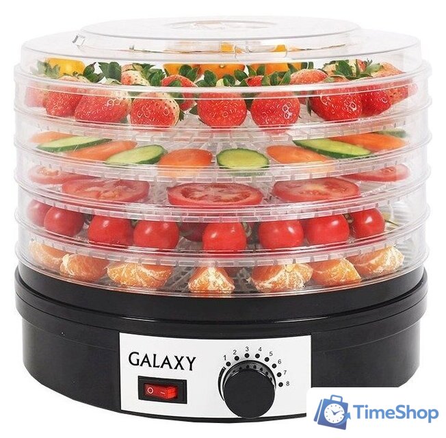 Сушилка для овощей и фруктов Galaxy Line GL2630 - Изображение №1 — Интернет-магазин Time-Shop