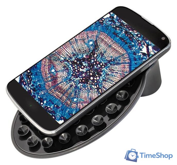 Детский микроскоп Bresser Junior Biolux SEL 40–1600x 74319 (зеленый) - Изображение №9 — Интернет-магазин Time-Shop