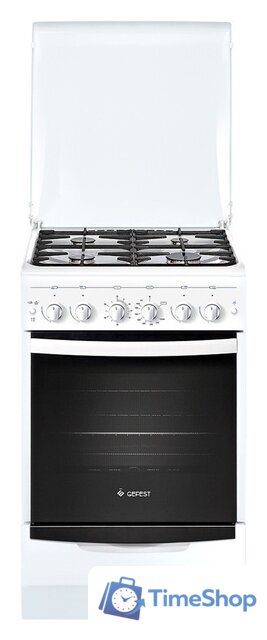 Кухонная плита GEFEST ПГЭ 5101-02 - Изображение №1 — Интернет-магазин Time-Shop
