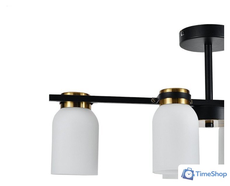  Escada 1151/6P (черный/латунь) - Изображение №4 — Интернет-магазин Time-Shop