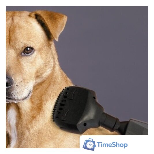 Пылесос Concept VP4351 - Изображение №4 — Интернет-магазин Time-Shop