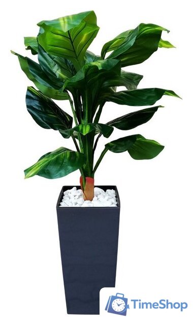Искусственное растение Forgarden Диффенбахия BN11129 - Изображение №1 — Интернет-магазин Time-Shop