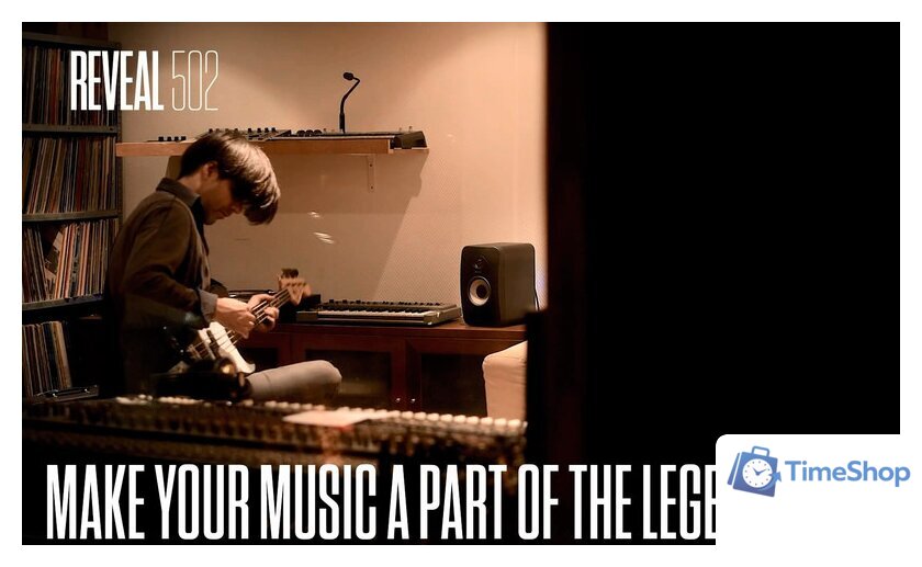 Монитор ближнего поля Tannoy Reveal 502 - Изображение №15 — Интернет-магазин Time-Shop