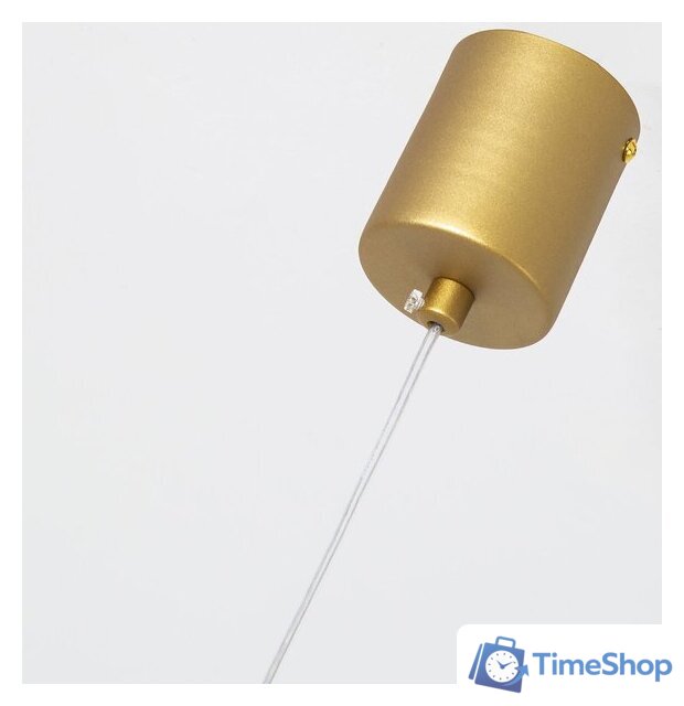 Подвесная люстра F-Promo 4221-1P - Изображение №3 — Интернет-магазин Time-Shop