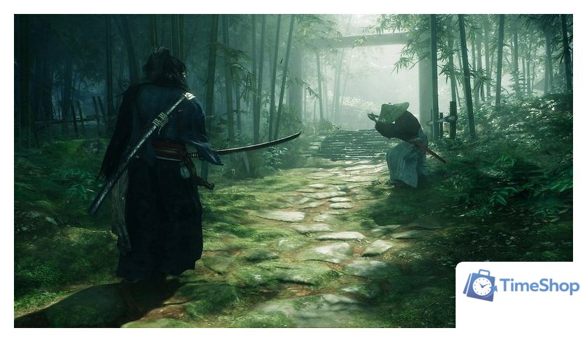  Rise Of The Ronin для PlayStation 5 - Изображение №2 — Интернет-магазин Time-Shop