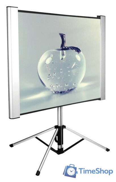 Проекционный экран CACTUS TriAlExpert 102x180 CS-PSTALE-180X102 - Изображение №1 — Интернет-магазин Time-Shop