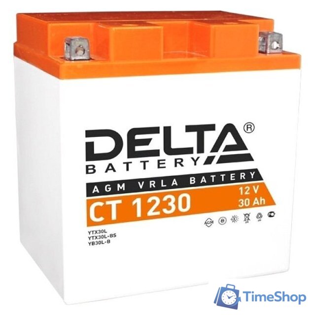 Мотоциклетный аккумулятор Delta CT 1230 (30 А·ч) - Изображение №1 — Интернет-магазин Time-Shop