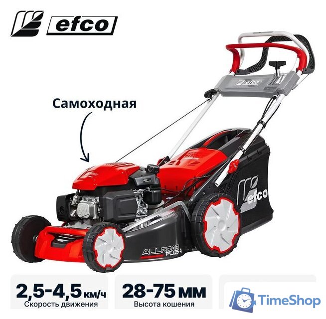 Газонокосилка Efco LR 53 VK Allroad Plus 4 (2026) - Изображение №2 — Интернет-магазин Time-Shop