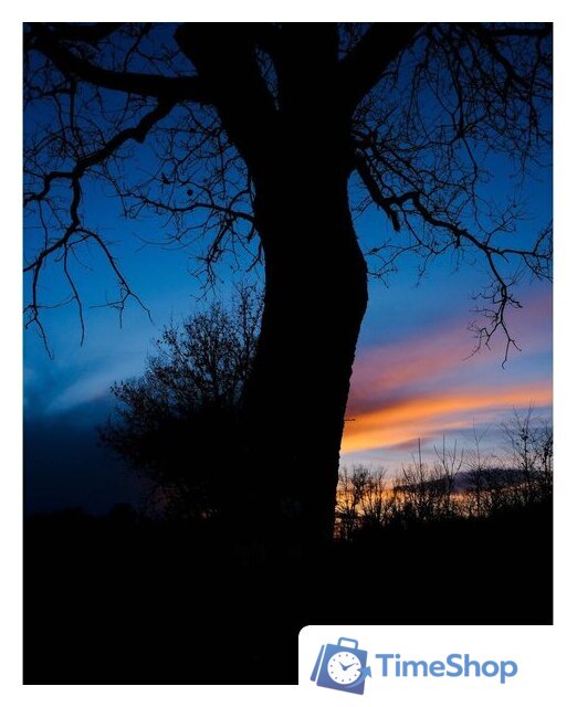 Беззеркальный фотоаппарат Fujifilm X-T50 Body (серебристый) - Изображение №14 — Интернет-магазин Time-Shop