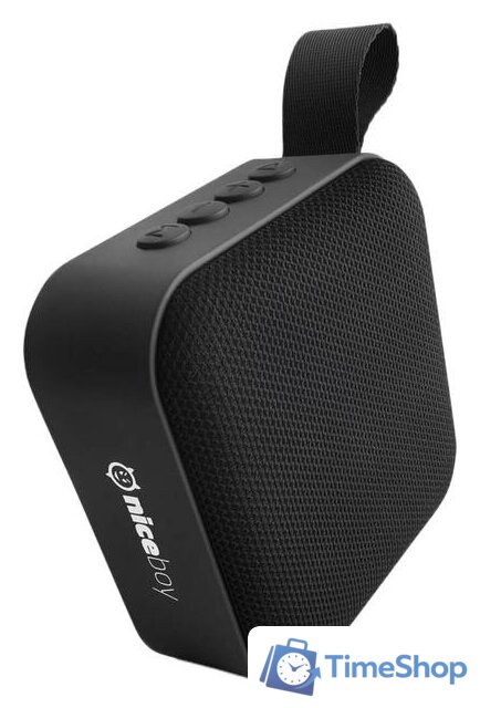 Беспроводная колонка Niceboy Raze Mini - Изображение №1 — Интернет-магазин Time-Shop