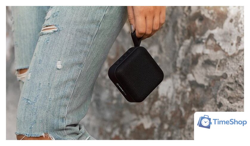 Беспроводная колонка Niceboy Raze Mini - Изображение №7 — Интернет-магазин Time-Shop