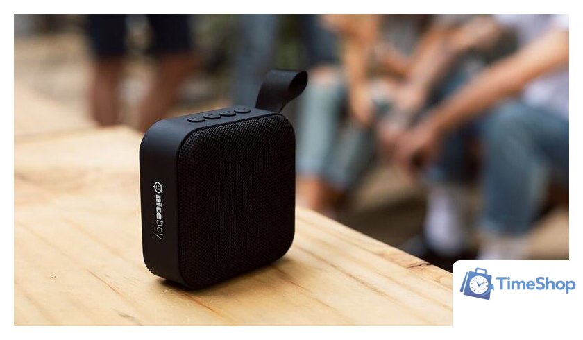 Беспроводная колонка Niceboy Raze Mini - Изображение №6 — Интернет-магазин Time-Shop