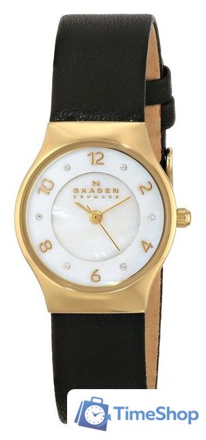 Наручные часы Skagen SKW2209 - Изображение №1 — Интернет-магазин Time-Shop